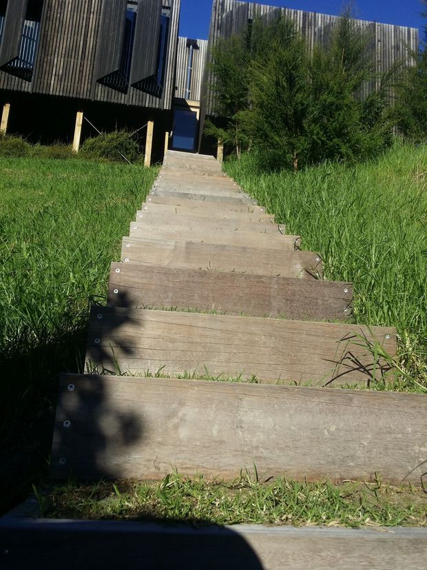 A timber stairway rises through a grassy, sloped landscape toward a modern elevated building. The building has dark vertical timber cladding, angular projecting forms, and a blue entrance door, with dense vegetation partially screening the facade. Strong sunlight creates pronounced shadows across the steps.