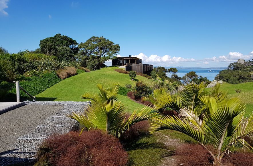 Coastal Native Garden - Castlerock