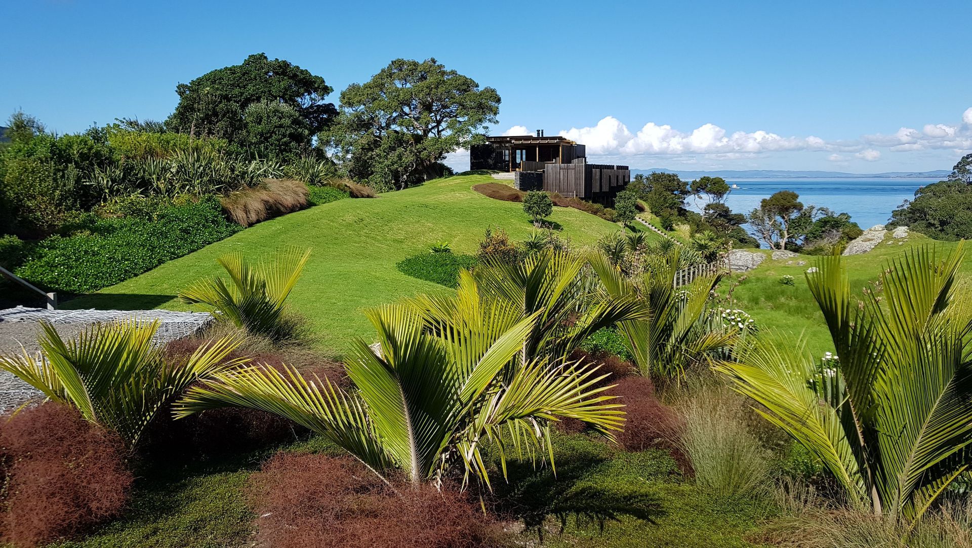 Coastal Native Garden - Castlerock banner
