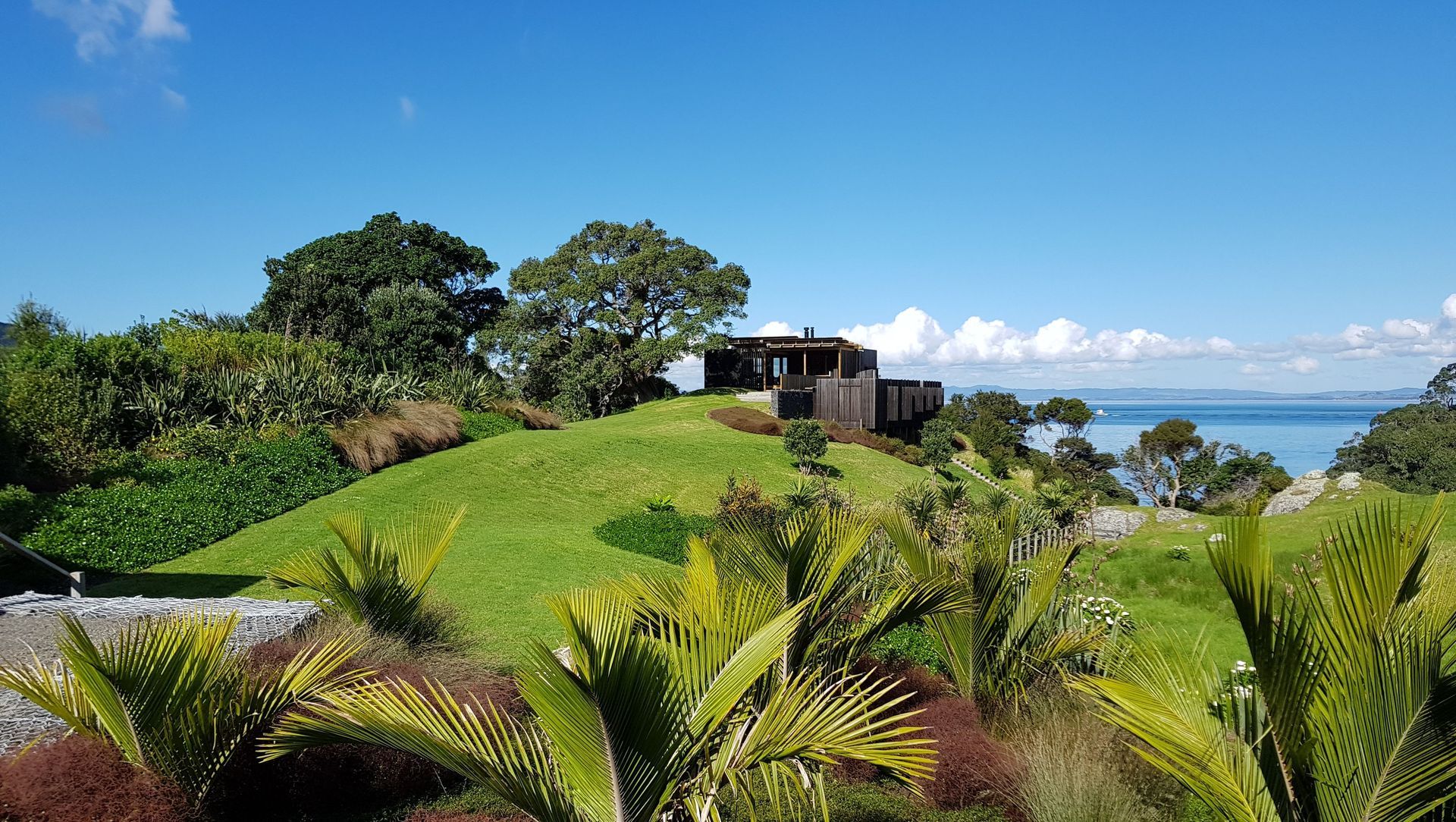 Coastal Native Garden - Castlerock banner