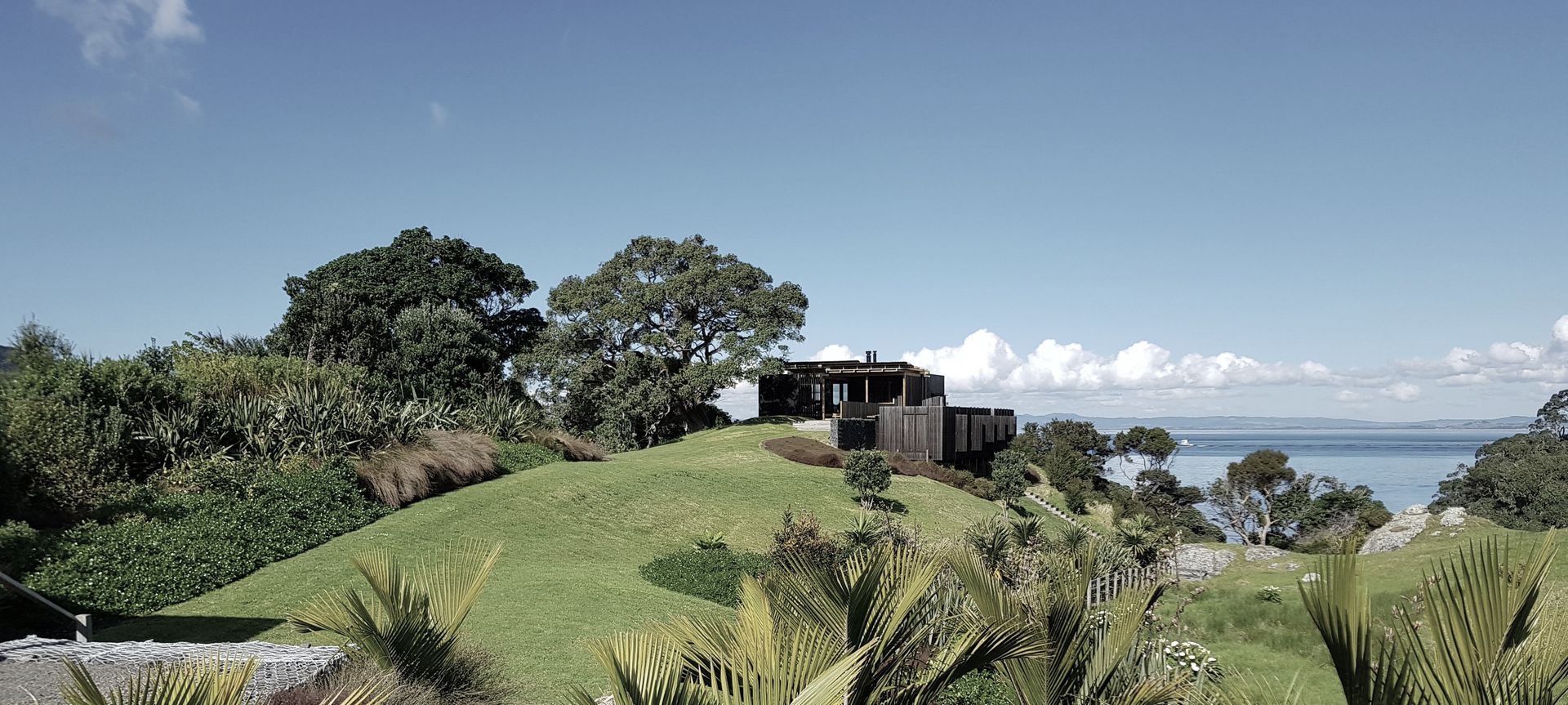 Coastal Native Garden - Castlerock banner
