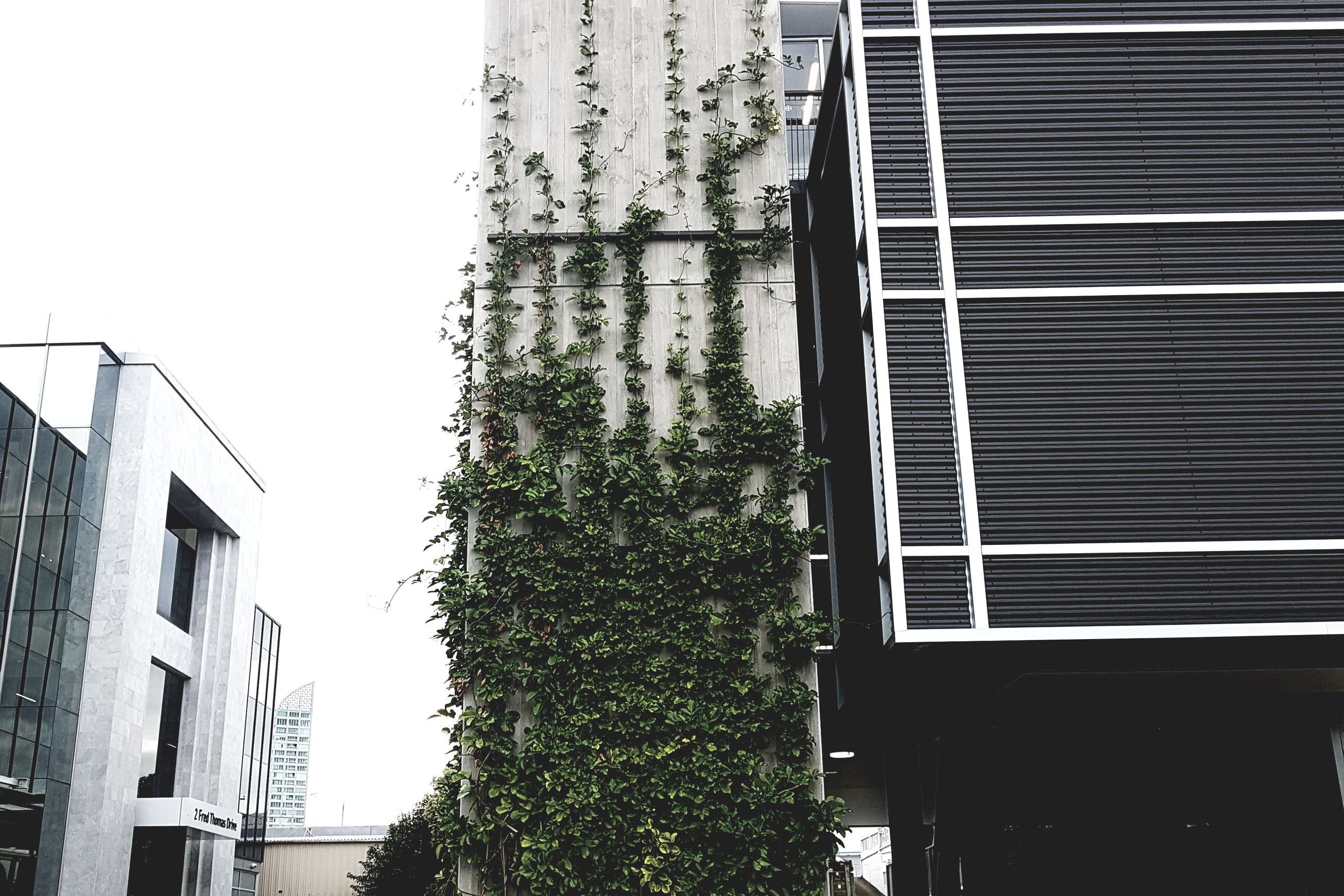 Green Wall Support Systems