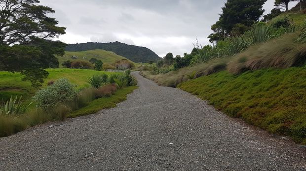 A broad gravel driveway or pathway curves through a landscaped rural property, bordered by low native-style planting, grasses, shrubs, and mature trees. Rolling green hills and a forested ridge are visible in the background beneath an overcast sky.