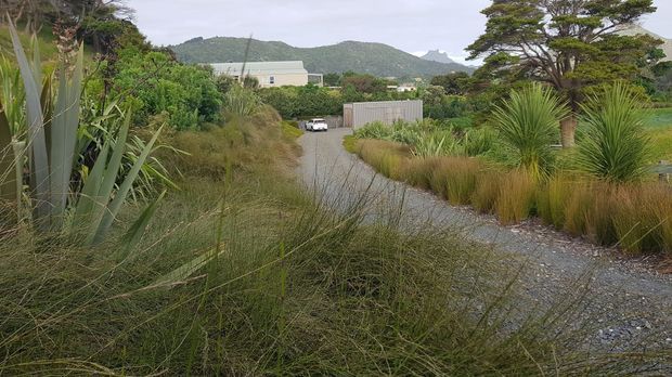 A landscaped gravel driveway or access path curves through dense ornamental grasses, spiky architectural plants, shrubs, and mature trees. A low modern building and parked vehicles are visible in the middle distance, with forested hills and distinctive rocky peaks beyond. The scene has an informal, naturalistic garden character.