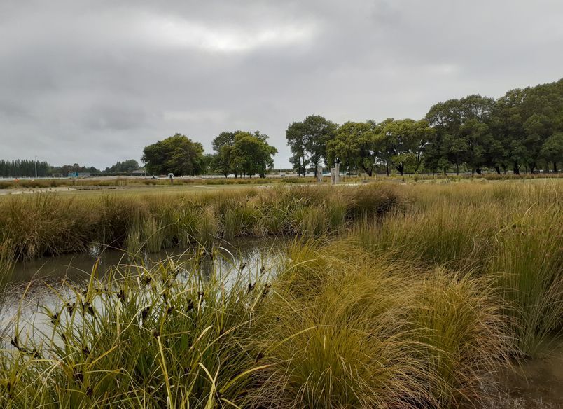 Buller Stream Stormwater Facility 