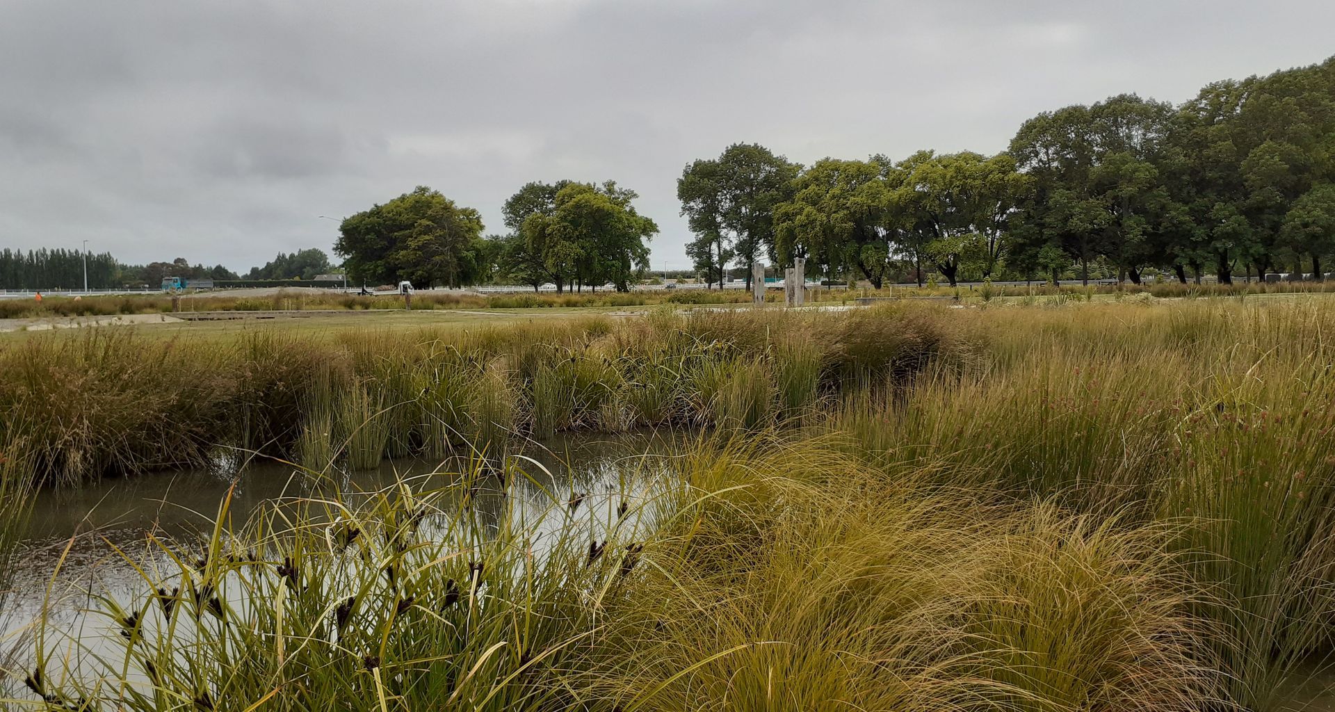 Buller Stream Stormwater Facility  banner