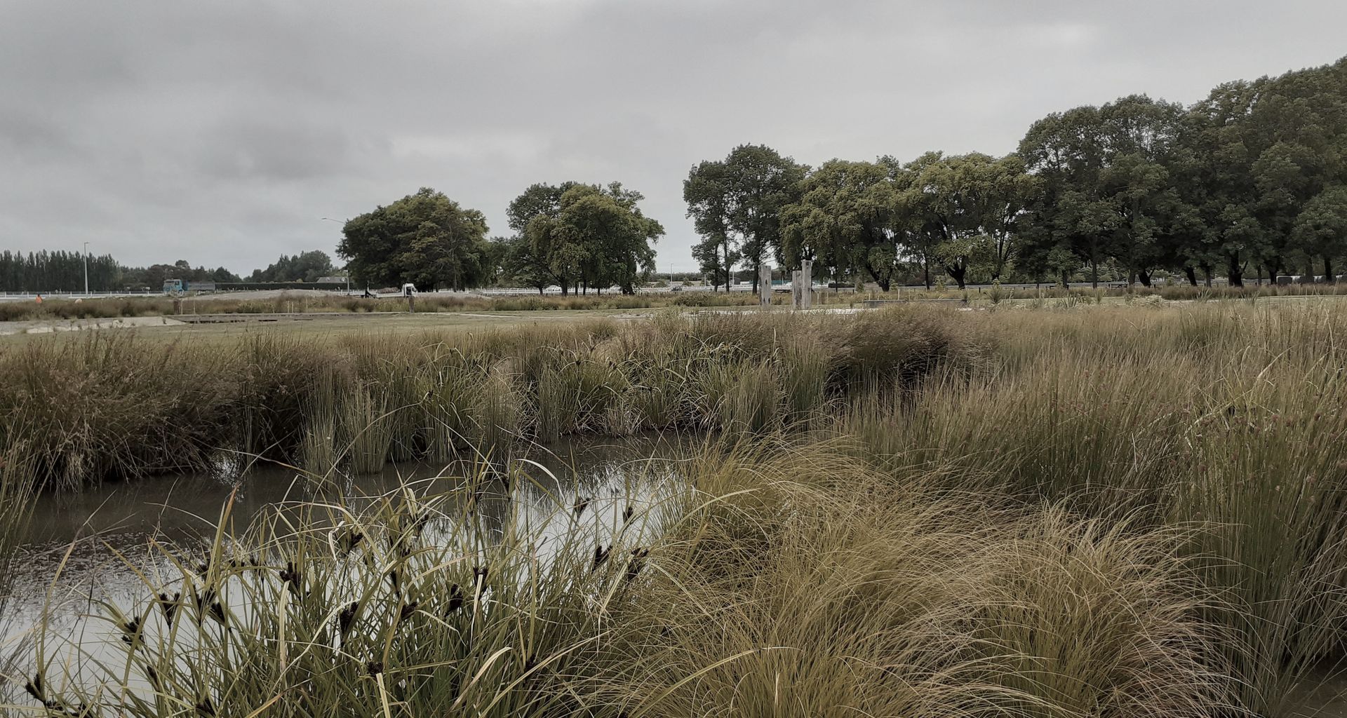 Buller Stream Stormwater Facility  banner