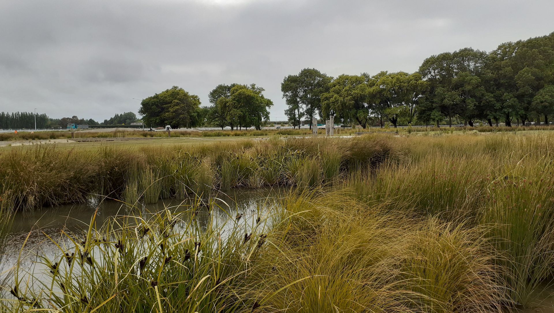 Buller Stream Stormwater Facility banner