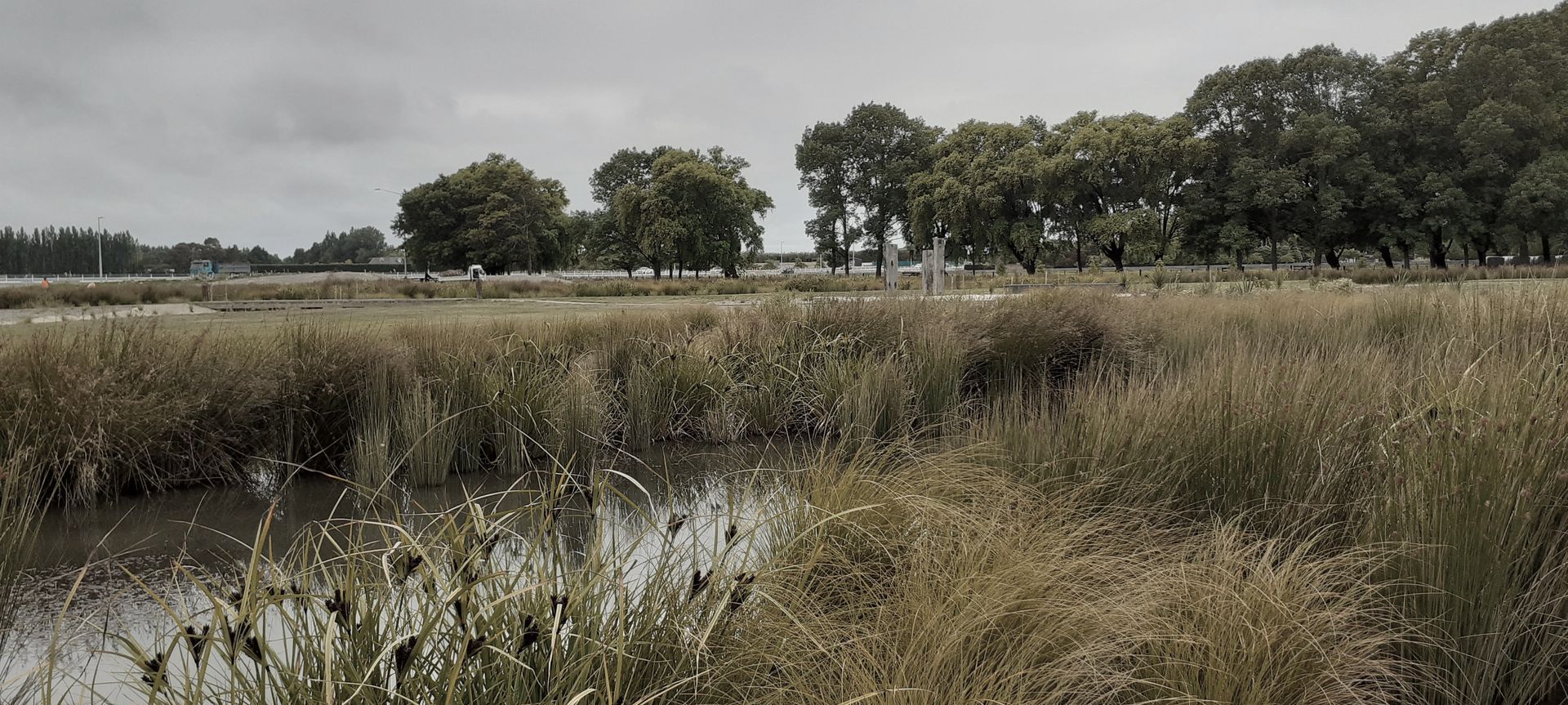 Buller Stream Stormwater Facility  banner