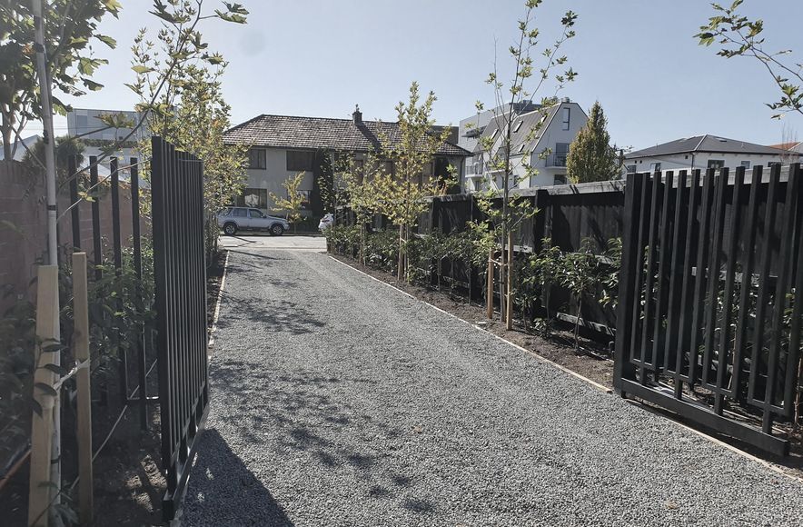 Our Recent Projects
