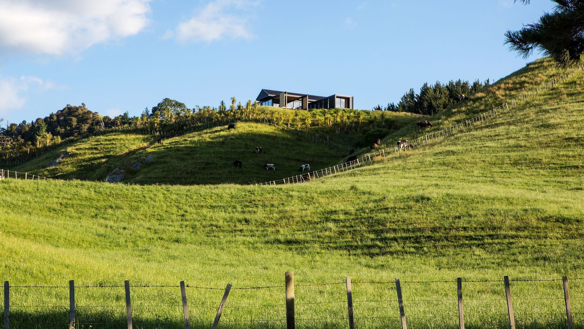 Hikuai Hill House banner