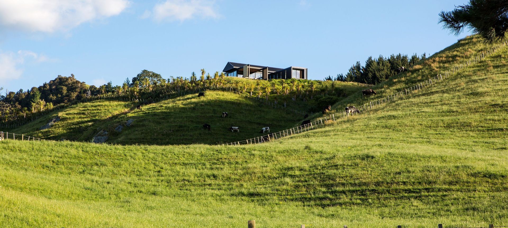 Hikuai Hill House banner