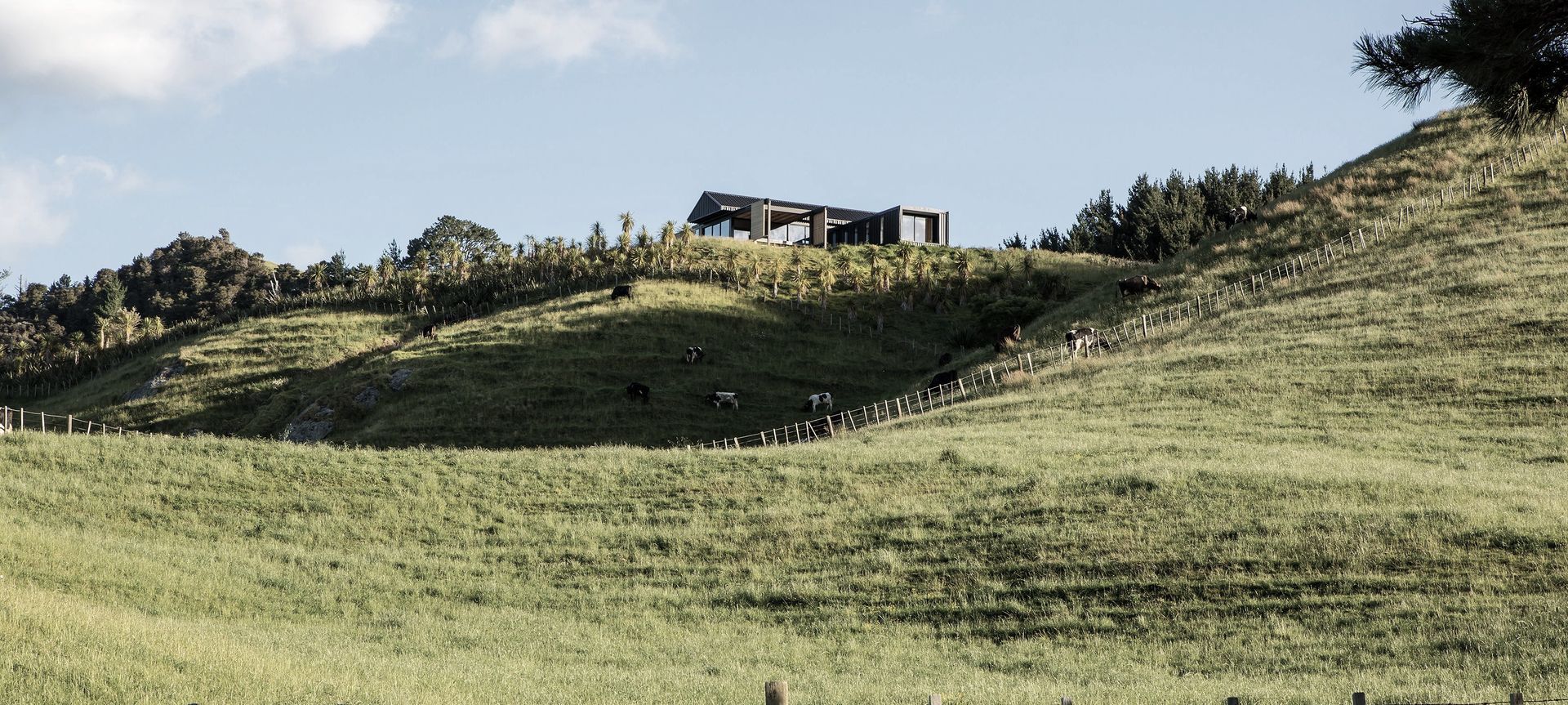 Hikuai Hill House banner