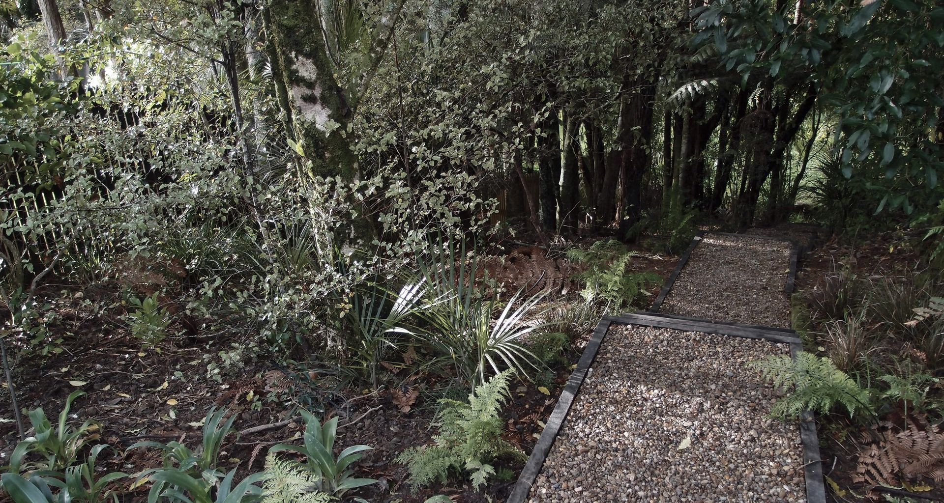 A simple gravel path leads down to the stream through the established bush, underplanted with native ferns and ground layer plants