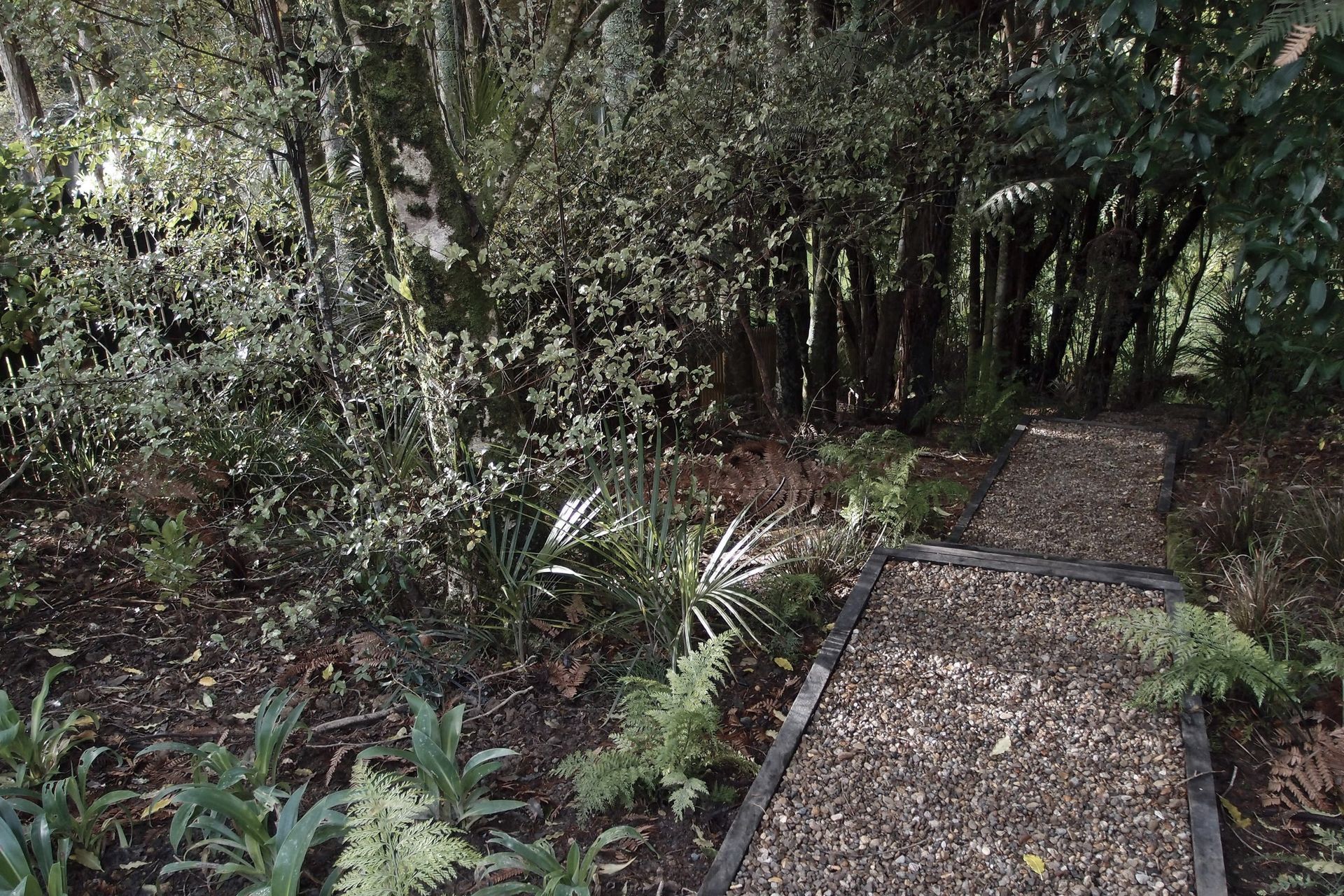 A simple gravel path leads down to the stream through the established bush, underplanted with native ferns and ground layer plants