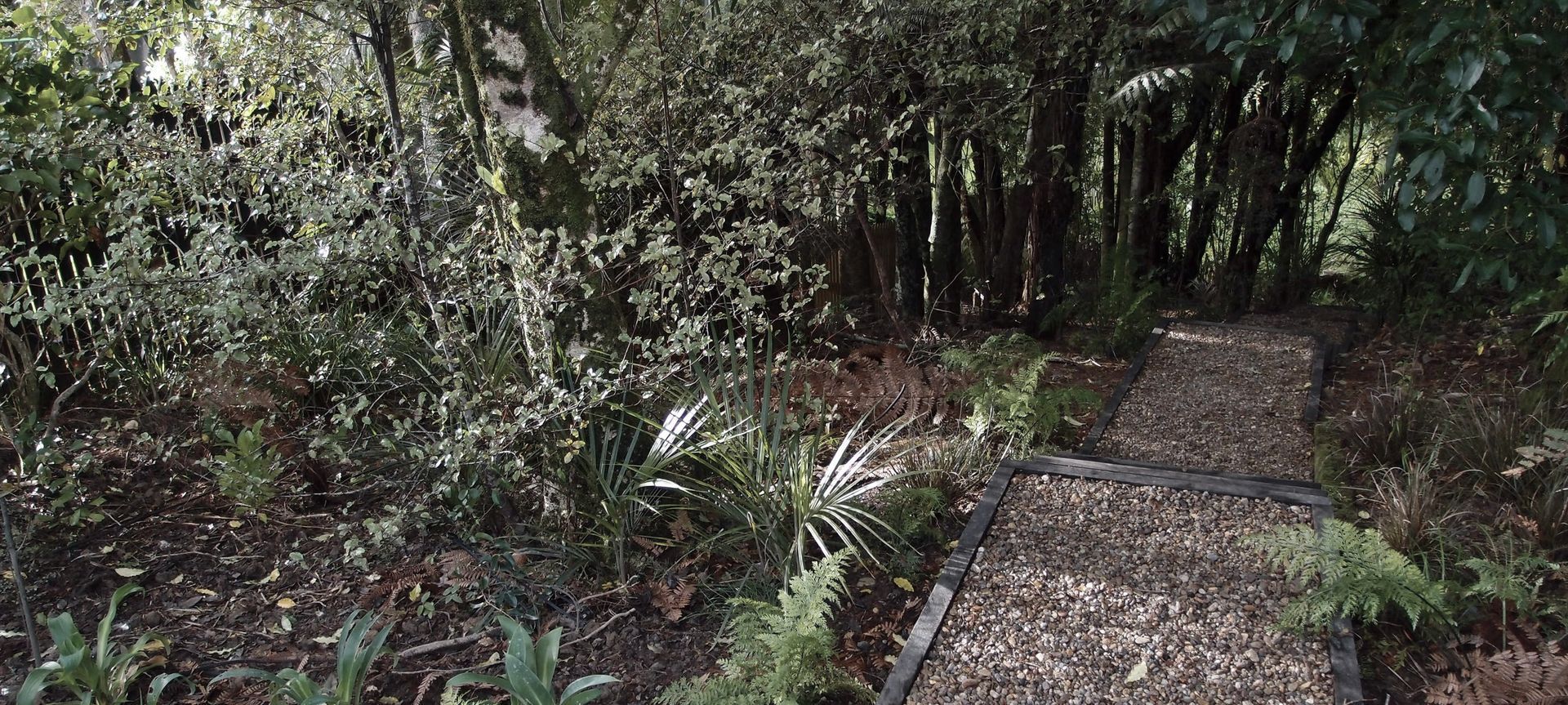 A simple gravel path leads down to the stream through the established bush, underplanted with native ferns and ground layer plants