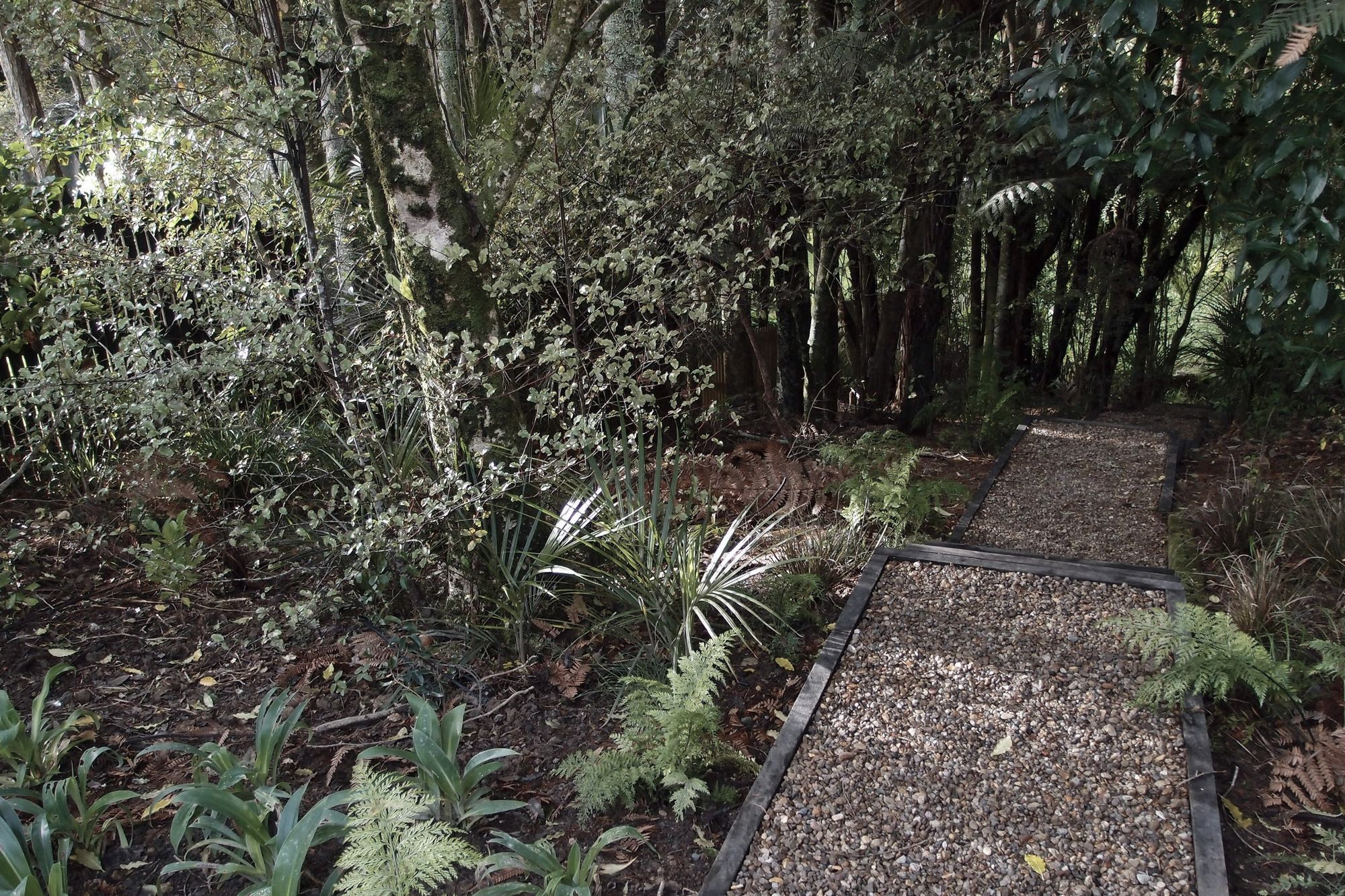 A simple gravel path leads down to the stream through the established bush, underplanted with native ferns and ground layer plants