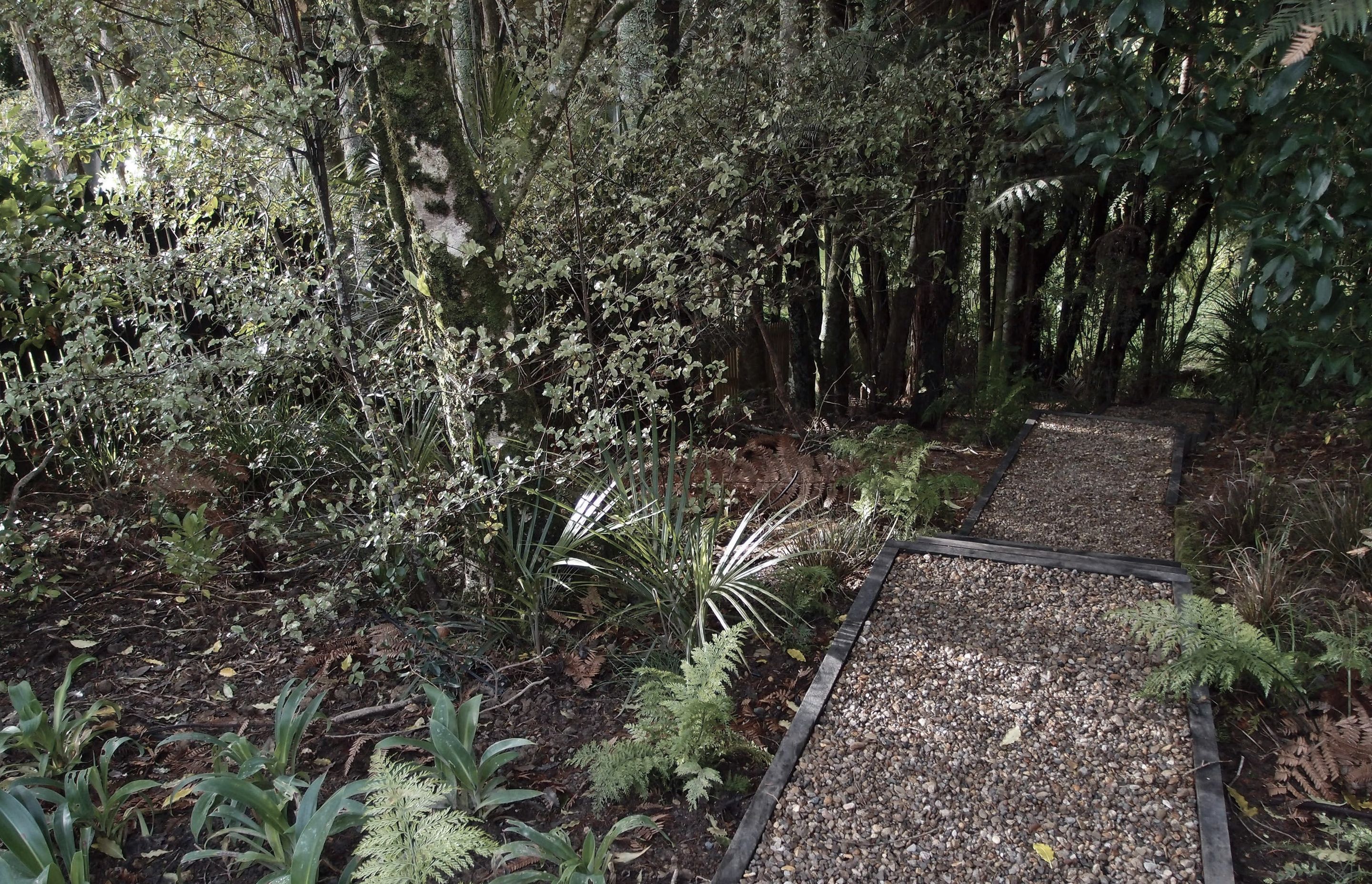 A simple gravel path leads down to the stream through the established bush, underplanted with native ferns and ground layer plants