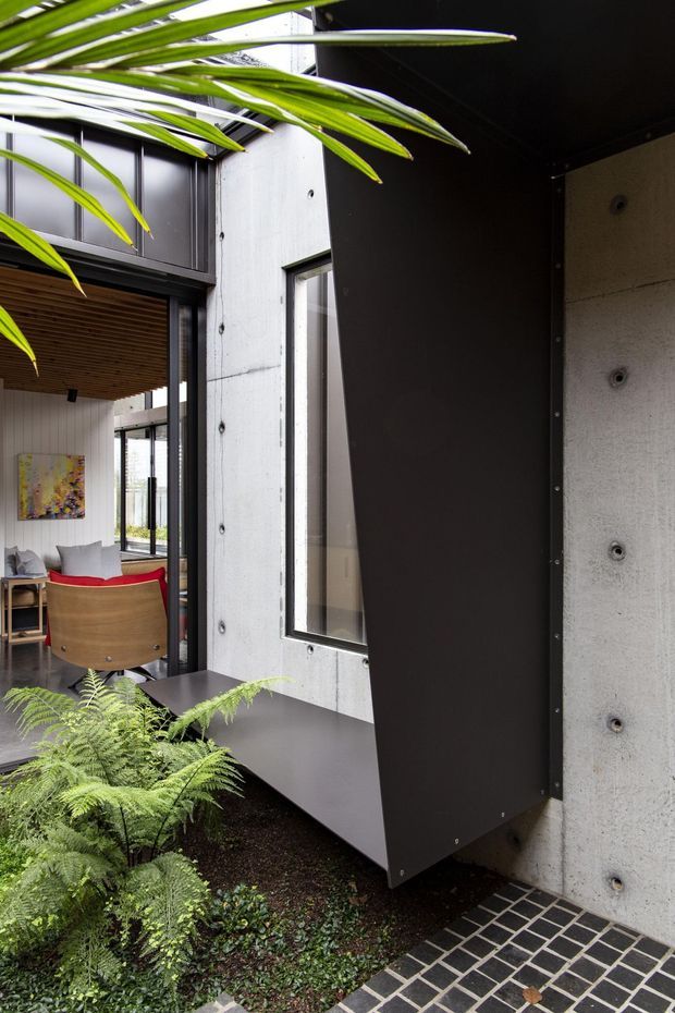 A modern courtyard or entry area featuring exposed concrete walls, dark metal cladding, tall glazing, and a black brick-paved walkway. Lush ferns and palm foliage soften the minimalist architecture, while an open glazed doorway reveals a contemporary living area with timber ceiling lining and furniture.