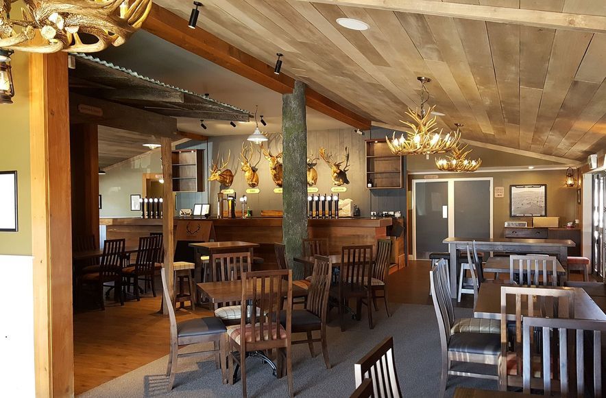 5 Stags, Perongia