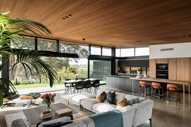A spacious open-plan contemporary living, dining and kitchen area with full-height corner glazing opening to a landscaped garden. The room features a warm timber-lined ceiling, polished concrete flooring, a large light upholstered sectional sofa, dining table, dark kitchen island, timber cabinetry, integrated appliances and bar seating. Indoor tropical foliage and modern furnishings create a refined, relaxed atmosphere.