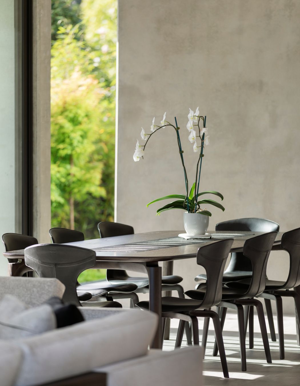 The dining area utilises a harmonious monochromatic materials palette, overlooking the bamboo hedging and small courtyard.