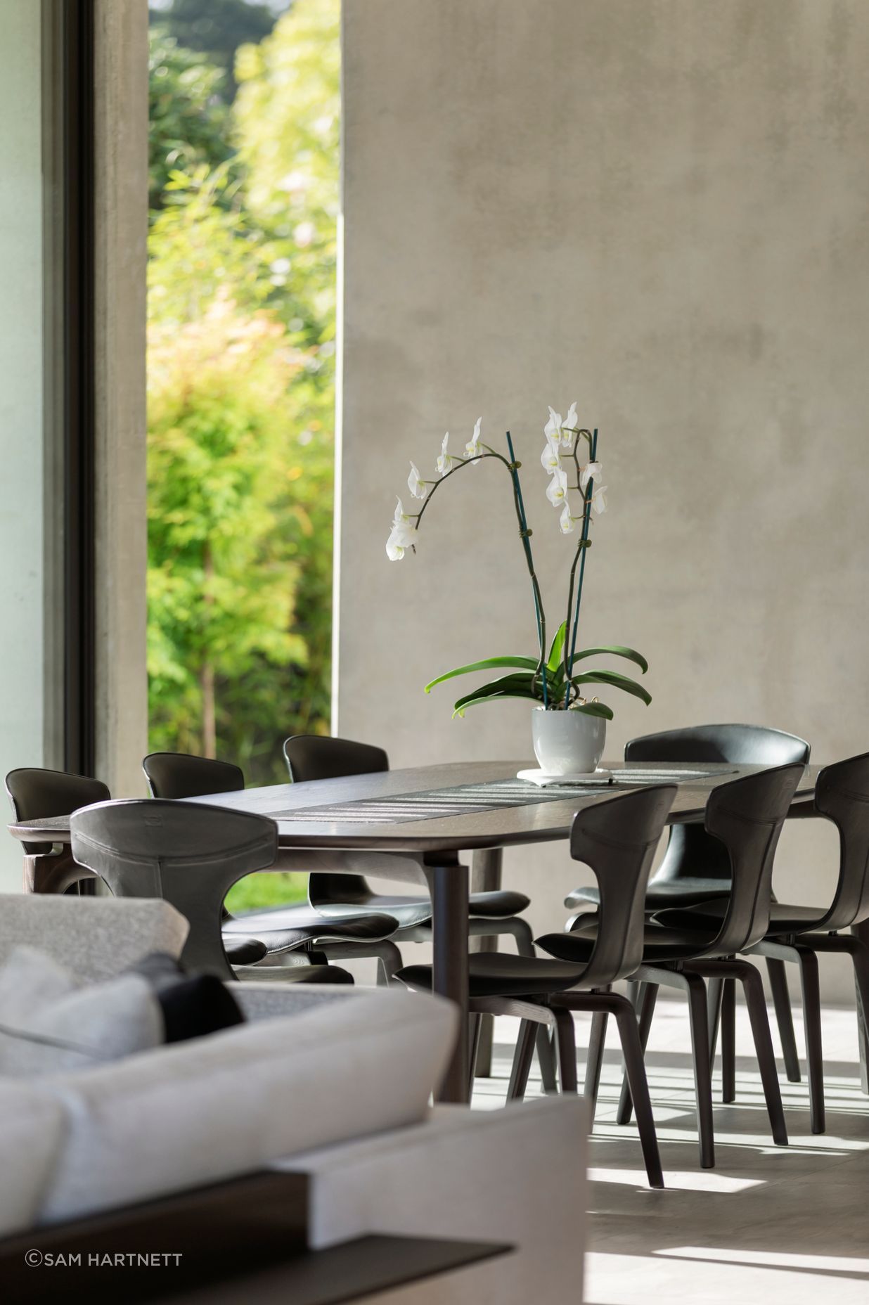 The dining area utilises a harmonious monochromatic materials palette, overlooking the bamboo hedging and small courtyard.