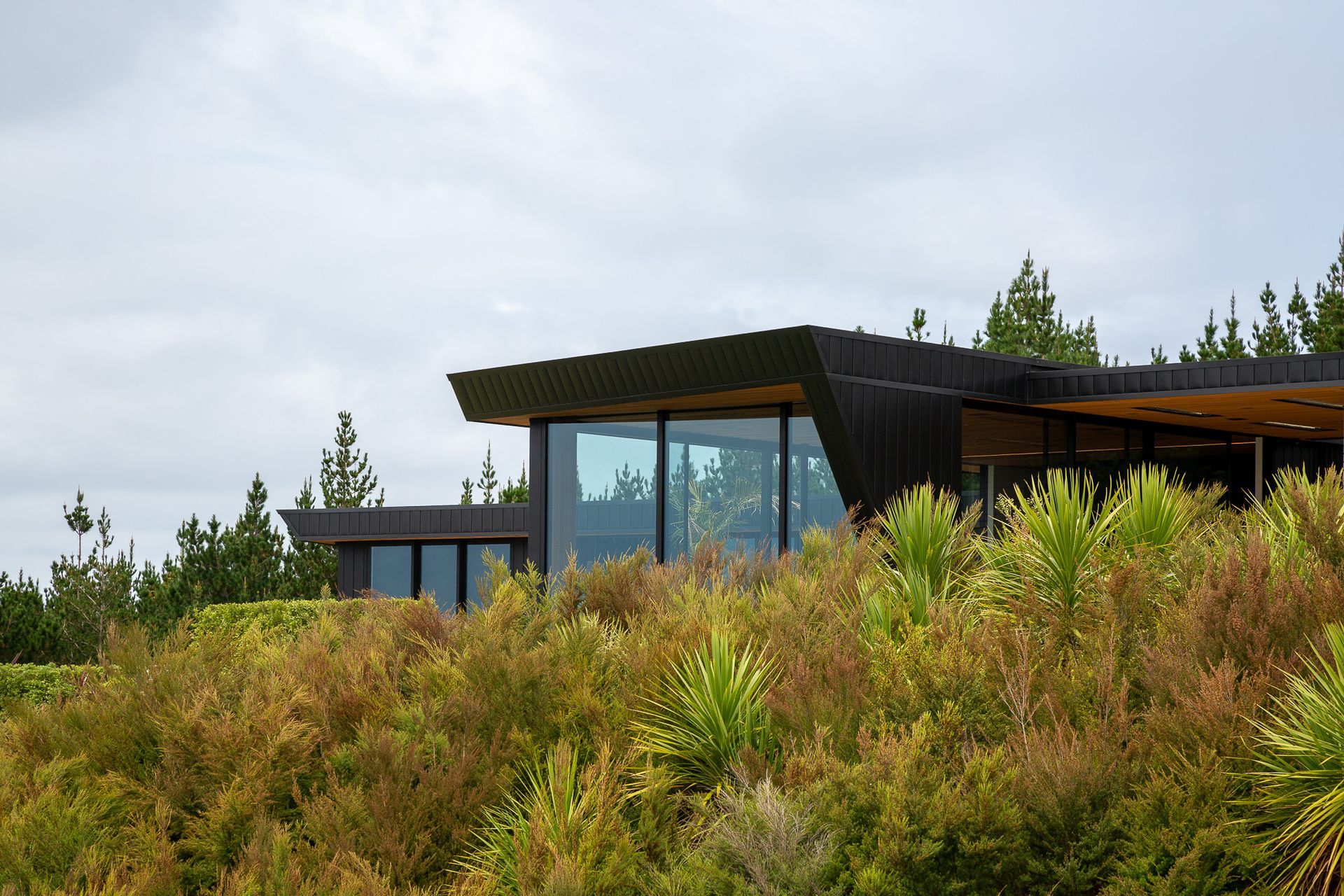 Resource consent was intially granted for a building platform on a lower part of the site, but as part of the brief, Jessop Architects relocated the site 200 metres up the hillside, just below a peak in a knoll that was cut into and flatttened.