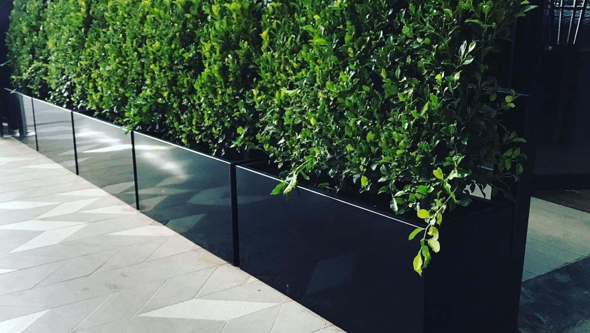 Commercial Bay banner