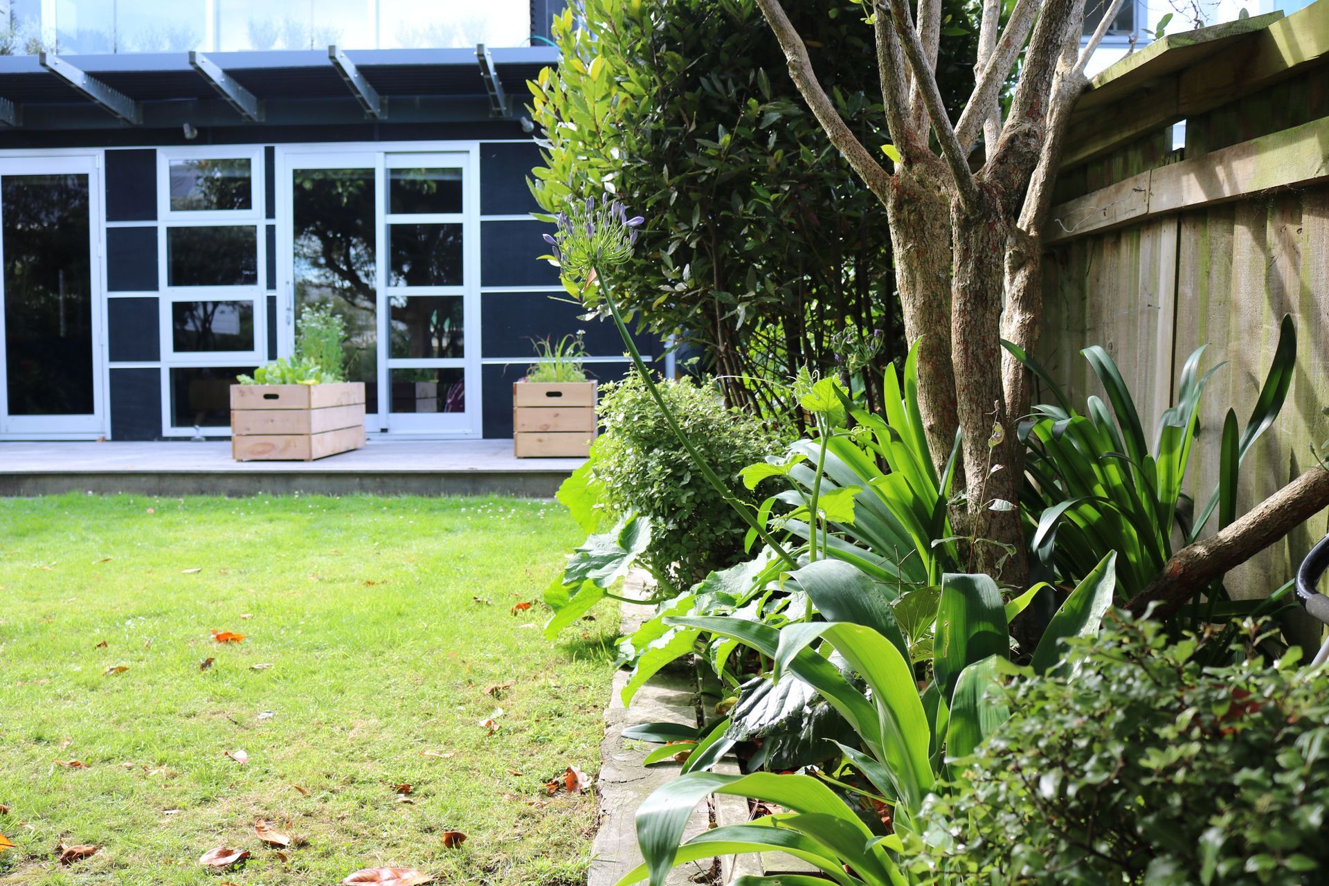 Inormal mixed native garden (with flowers!) &amp; moveable planter boxes on the deck of this back garden and contemporary renovation in Mt Victoria.