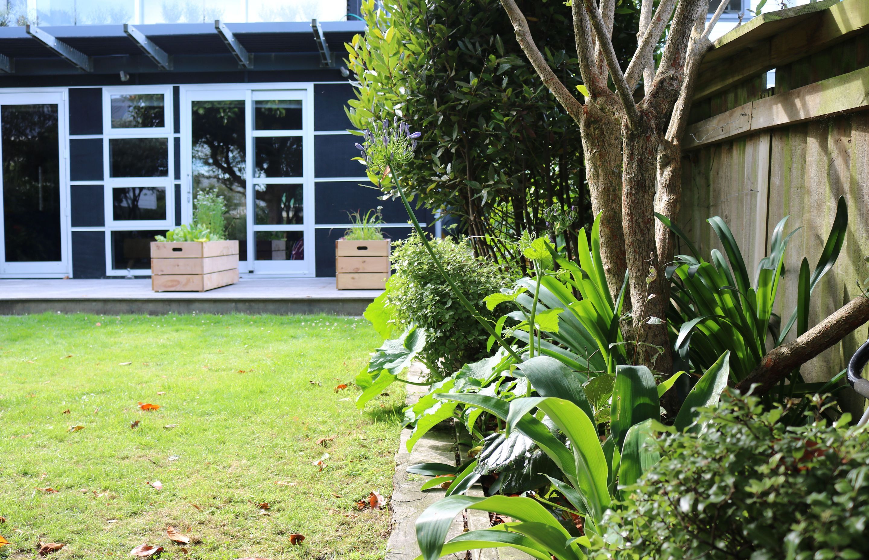 Inormal mixed native garden (with flowers!) &amp; moveable planter boxes on the deck of this back garden and contemporary renovation in Mt Victoria.