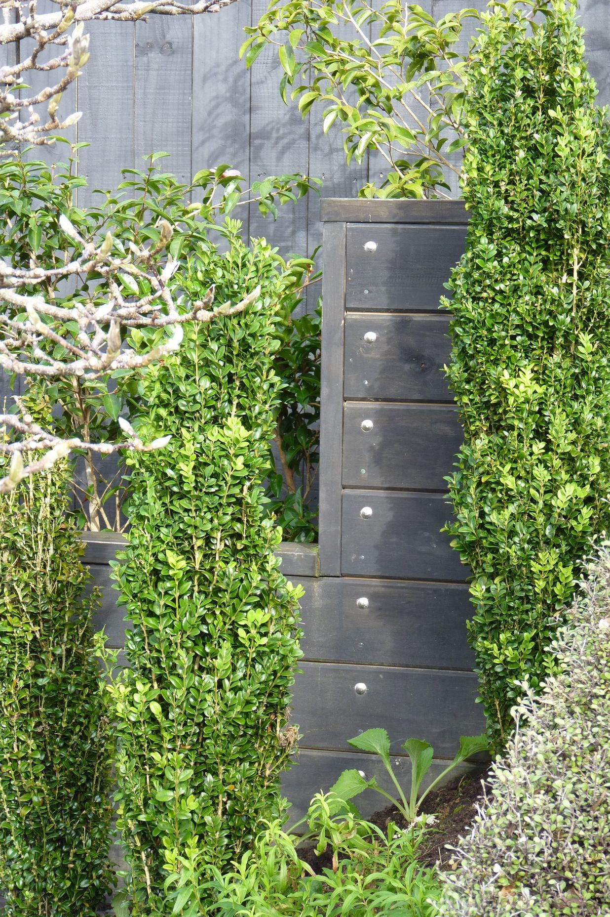Planting on a slope, Buxus columns &amp; foxglves against  stepped retaining  wall detail, Kelburn