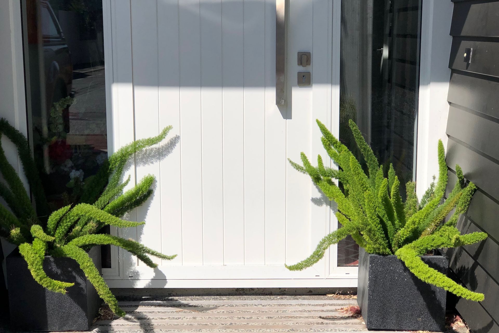 New build, landscaping and planting in Seatoun