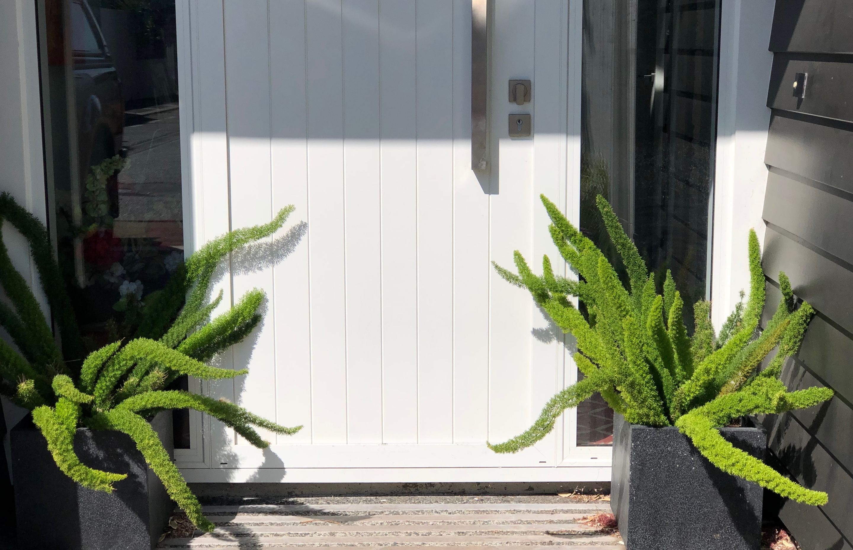 New build, landscaping and planting in Seatoun