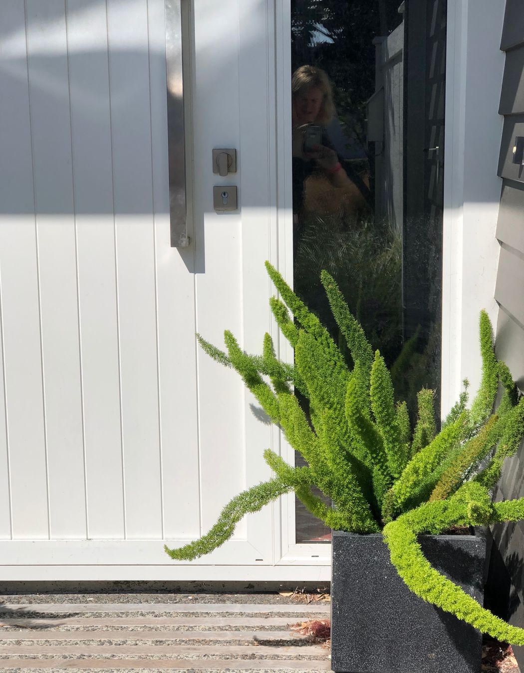 Cool lines in Seatoun