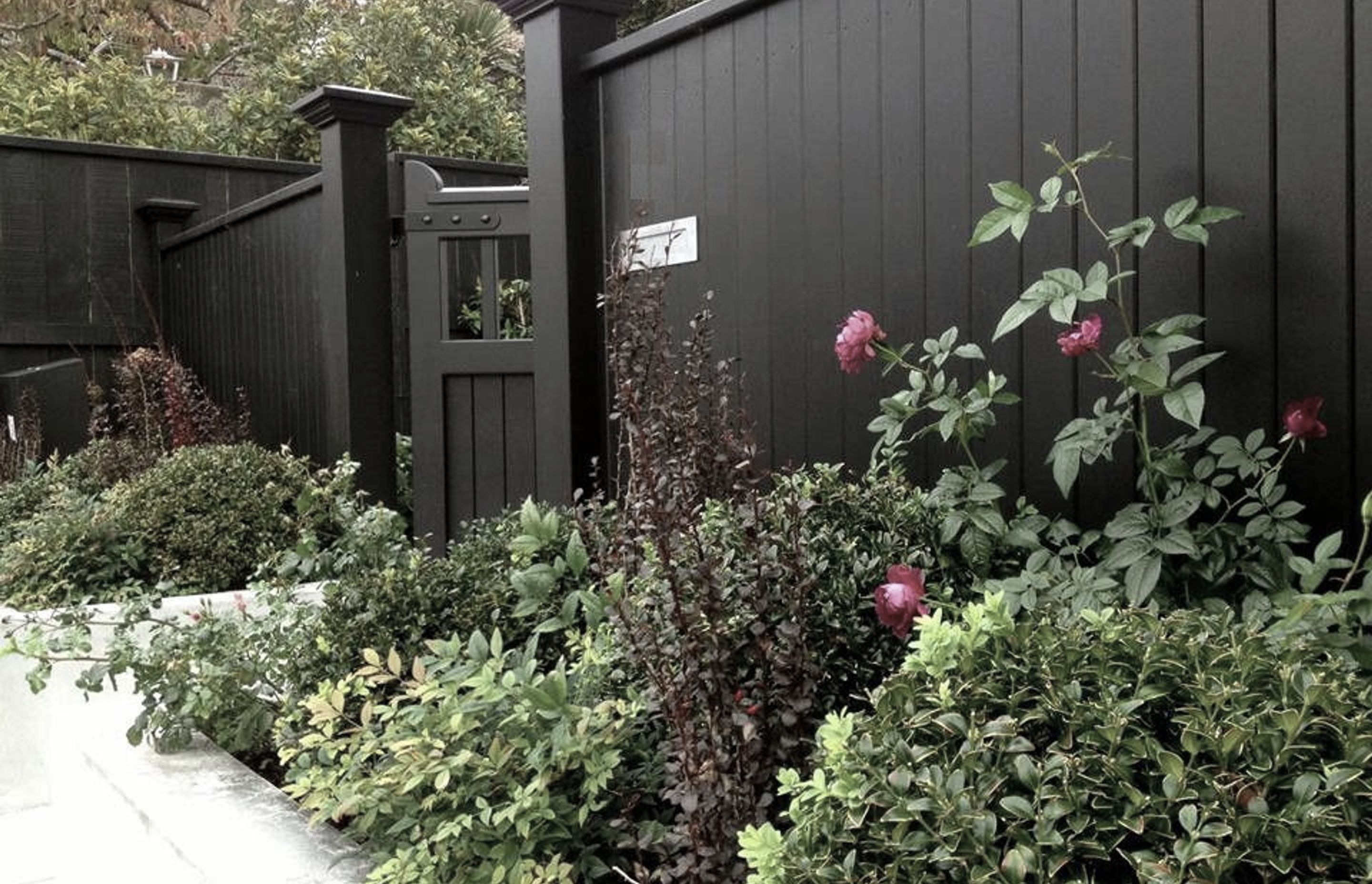 Front entrance &amp; gardens, concrete paving, plaster block wall &amp; black timber fence, Kelburn