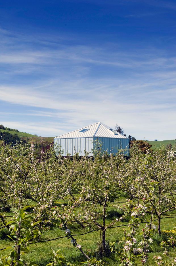 A small modern greenhouse or glasshouse with a pale metal standing-seam roof and extensive glazed wall panels, set within a flowering orchard and rolling green rural landscape. The structure has a geometric pyramidal roof with roof skylights and a clean utilitarian form. Bright daylight and spring blossoms create an airy agricultural garden setting.