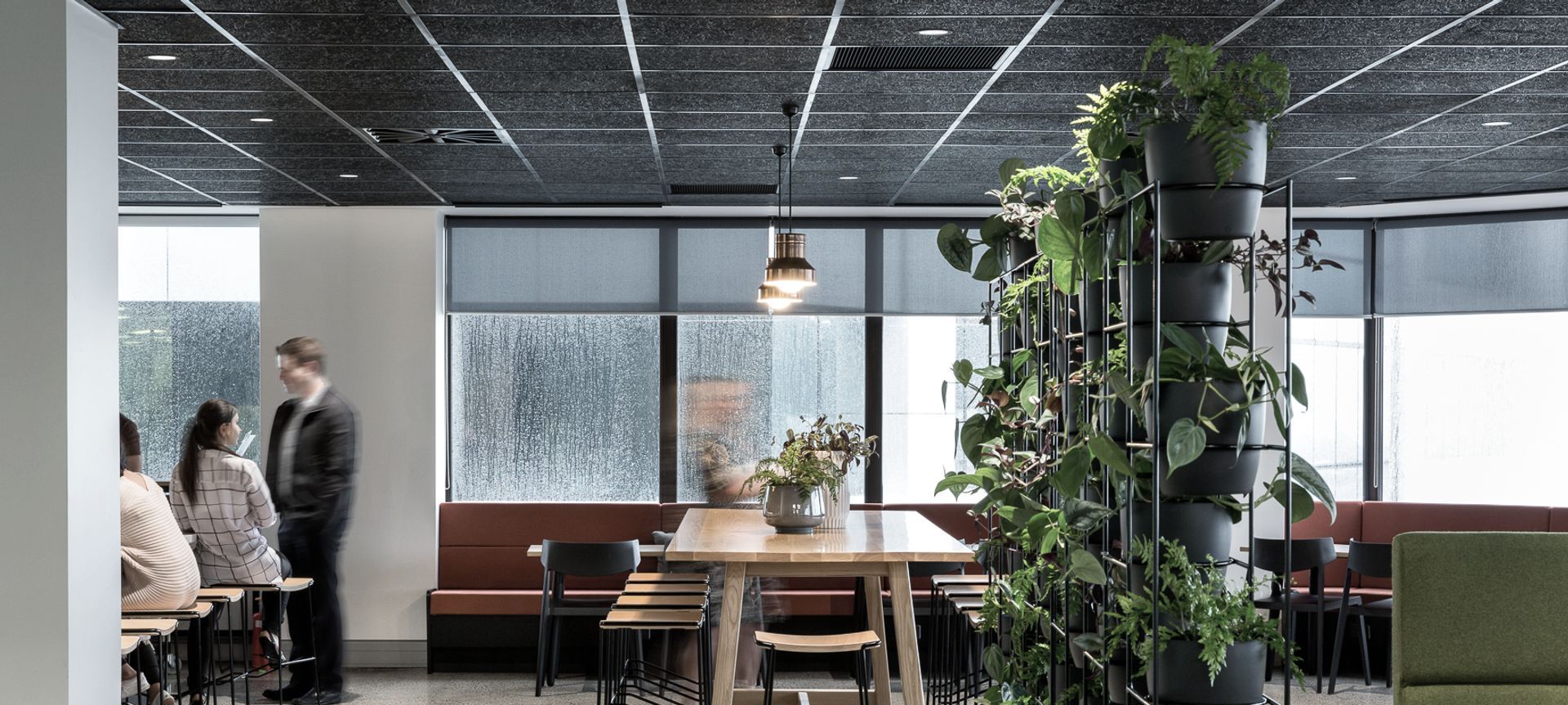 AMP Level 20 Cafe banner