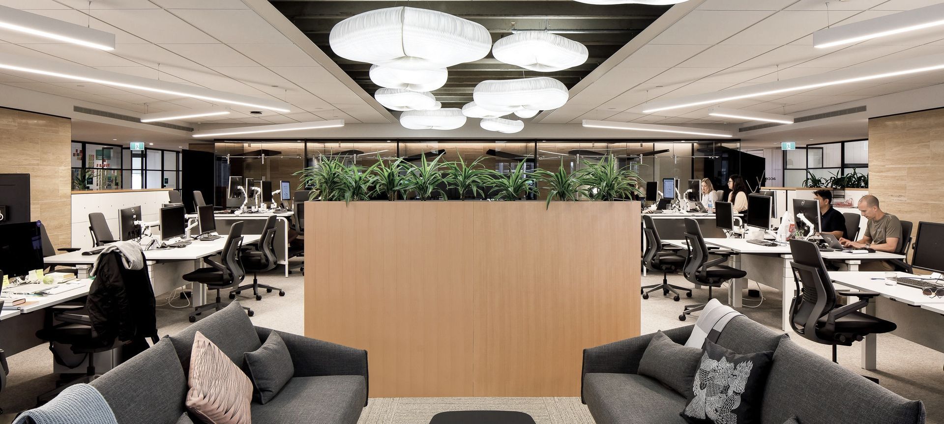 Accenture Auckland banner