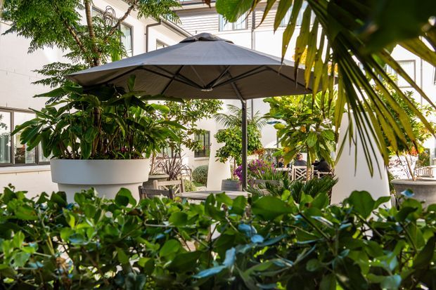 A lush landscaped courtyard or terrace with a large dark-grey outdoor umbrella, tropical and subtropical potted plants, dense hedging, and glimpses of white rendered building facades and outdoor seating. The space feels leafy, sheltered, and resort-like.