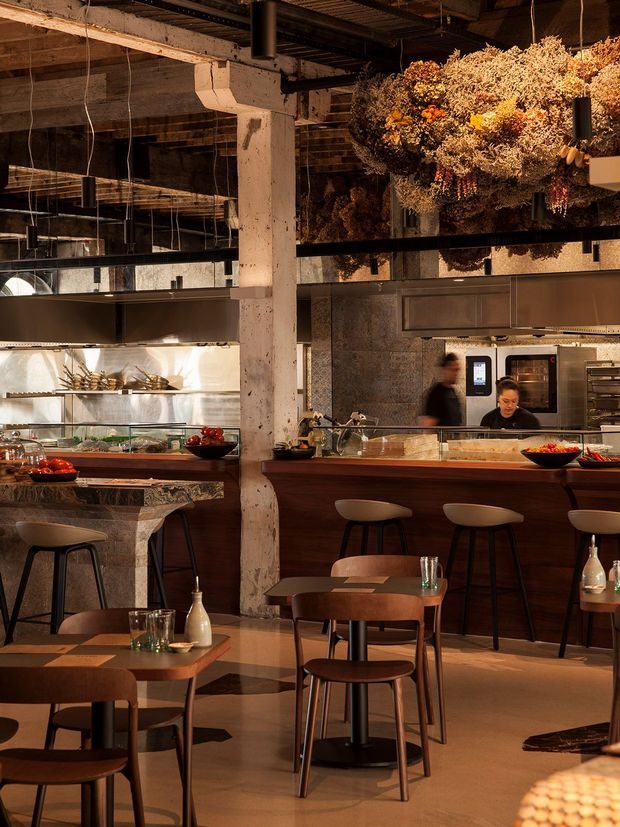 Warmly lit industrial-style restaurant interior with an open commercial kitchen, central bar counter, timber dining tables and chairs, exposed concrete columns, dark exposed ceiling services, and a large suspended arrangement of dried foliage above the counter.