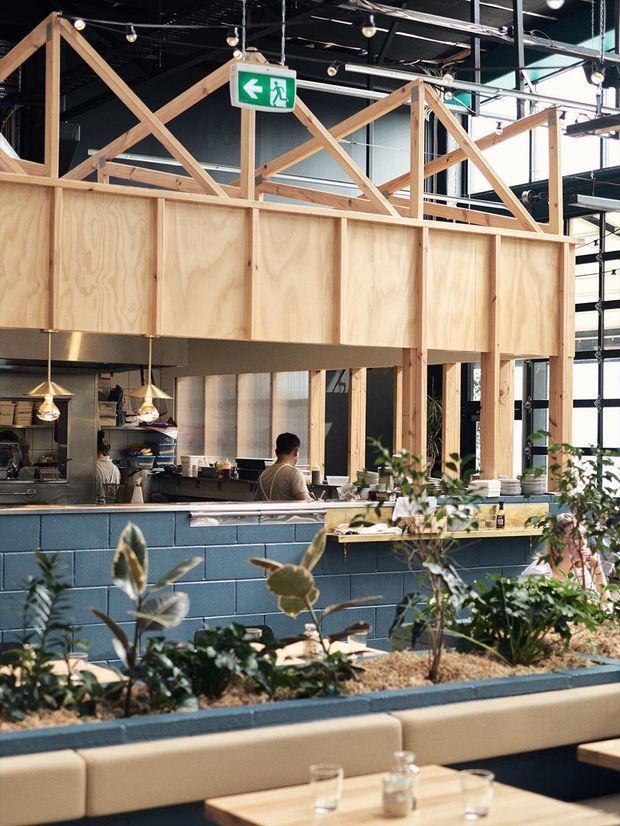 Interior view of a contemporary commercial café or restaurant with a prominent plywood mezzanine or overhead partition framed by exposed timber triangular bracing. The space features a dark exposed ceiling with track and pendant lighting, a blue painted brick service counter, indoor planter beds, large windows, and built-in upholstered seating around light timber tables.
