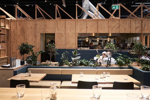 A warmly lit contemporary restaurant interior with timber plywood wall panelling, built-in booth seating, light timber tables, indoor planter beds, and a visible open kitchen or service counter. Exposed roof trusses, ductwork, hanging string lights, and dark ceilings create an industrial character, while greenery softens the dining space.