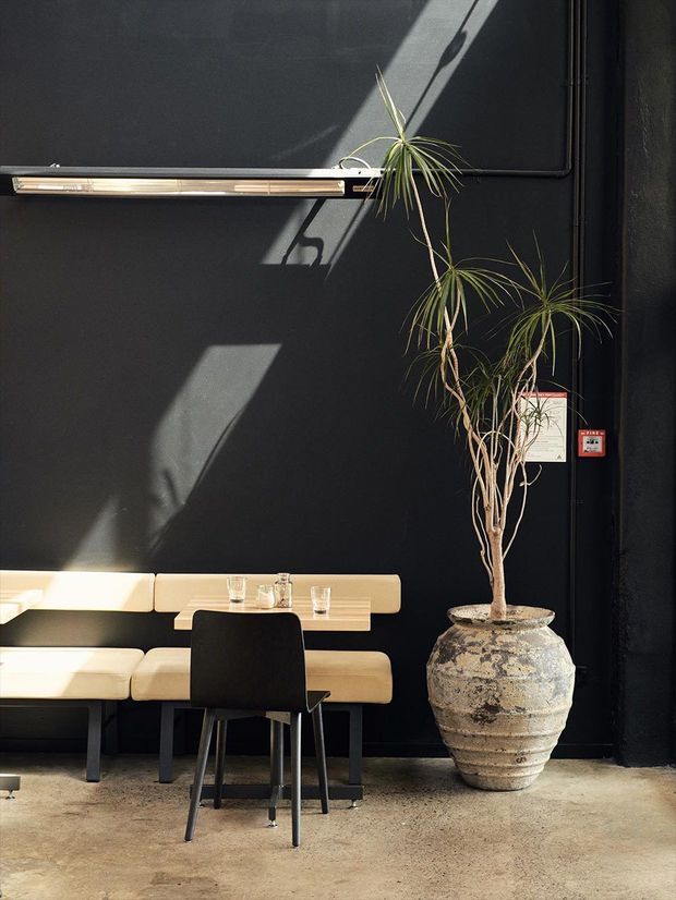 A moody commercial-style dining nook with a black painted wall, built-in cream upholstered banquette seating, a small wall-mounted table, and a black dining chair. A tall sculptural potted plant sits beside the seating, with strong diagonal sunlight and shadows across the wall. An exposed linear light fixture and visible conduit contribute to the industrial character.