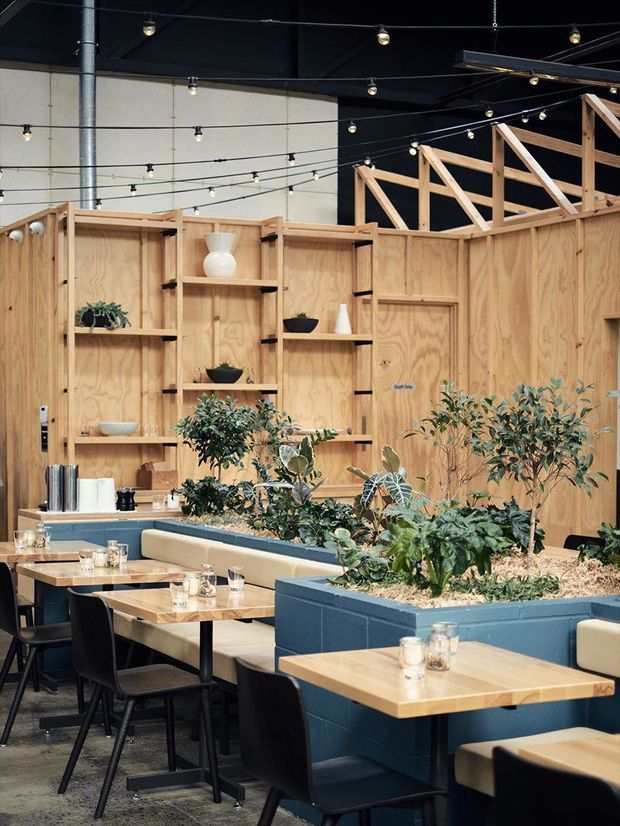 A contemporary commercial dining space with timber plywood partition walls and integrated open shelving, blue-painted raised planter boxes filled with greenery, and light timber dining tables with dark chairs and banquette seating. Exposed black ceiling services and abundant suspended festoon-style lighting create an industrial hospitality interior.