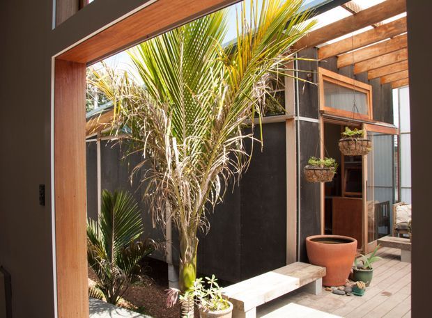 A sunlit courtyard viewed from within a timber-framed house, featuring a small palm garden, dark exterior walls, timber beams and cladding, a paved deck or terrace, built-in timber bench seating, and potted plants. Large glazed openings connect the interior to the landscaped courtyard, creating a warm, sheltered indoor-outdoor space.