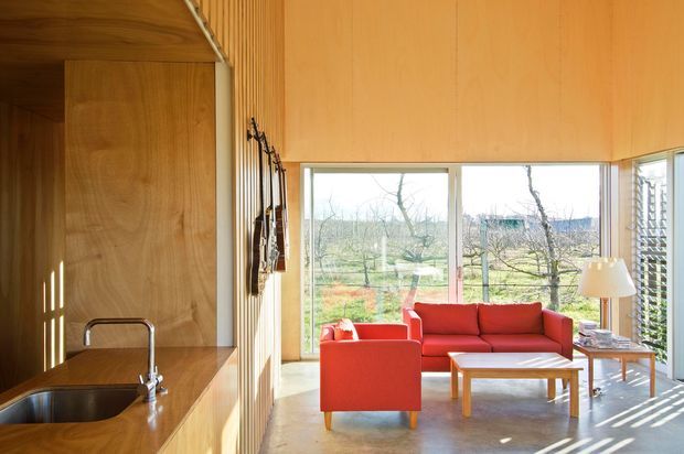 A bright, compact open-plan living space with a built-in timber kitchen along the left wall and a red upholstered seating area facing large windows. The room features extensive warm timber wall and ceiling lining, a stainless-steel sink and tap, polished concrete flooring, and abundant natural light overlooking a landscaped garden. Vertical timber battens and louvred glazing add textural detail.