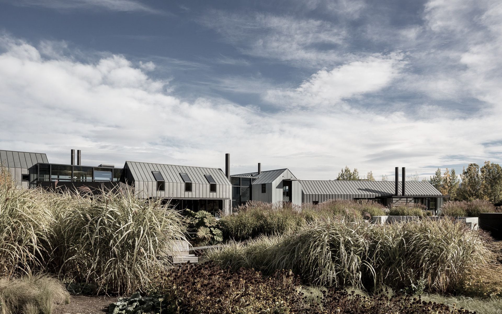 Hero Banner for Anna-Marie Chin Architects