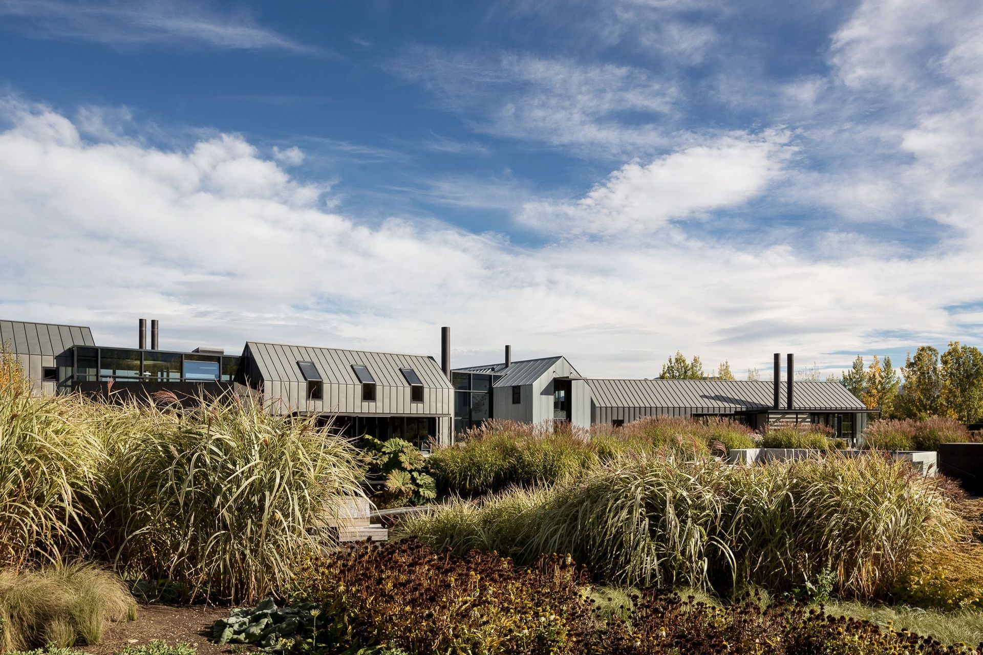 Anna-Marie Chin Architects banner