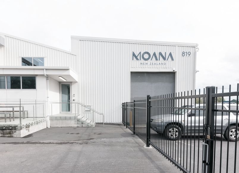 Aotearoa Live Lobster